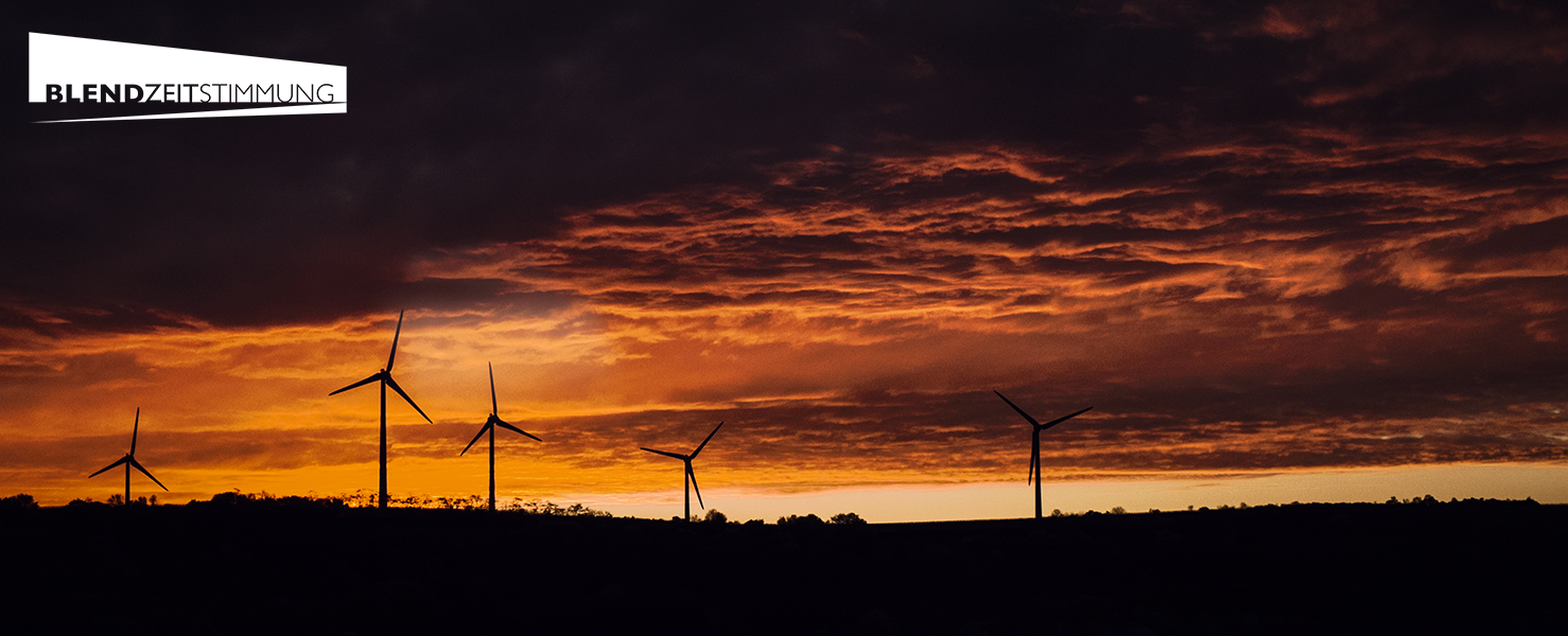 Sonnenuntergang in der Pfalz
